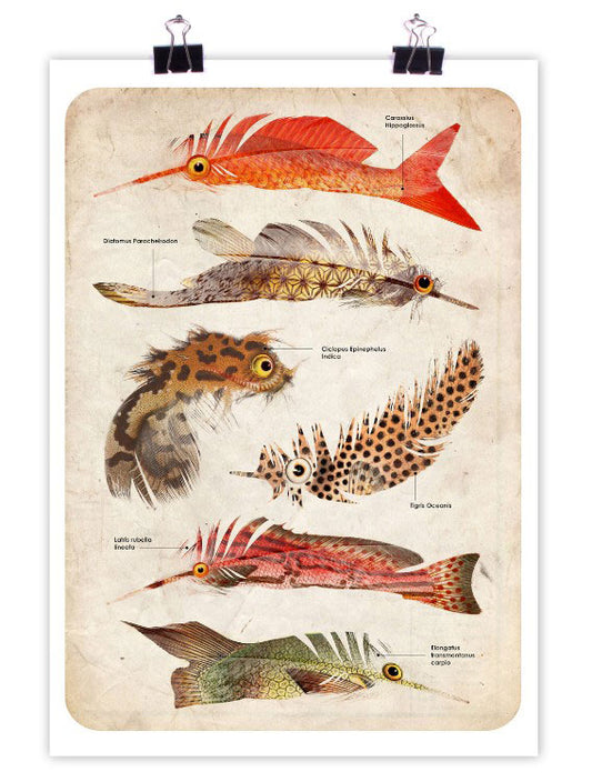 Featherfish Art Print by PlazmaLab - Psylo Fashion
